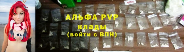 PSILOCYBIN Заволжье